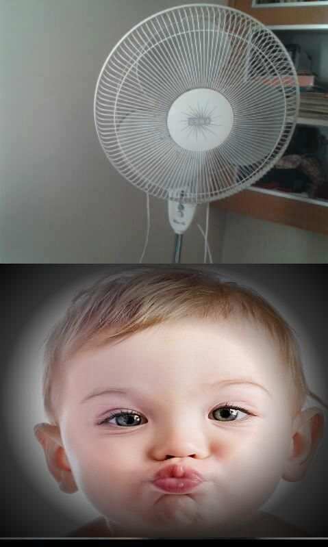 Dual Camera screenshot 3