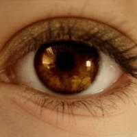 Brown Eye
