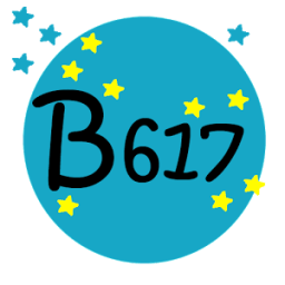 Camera Selfie B617 иконка