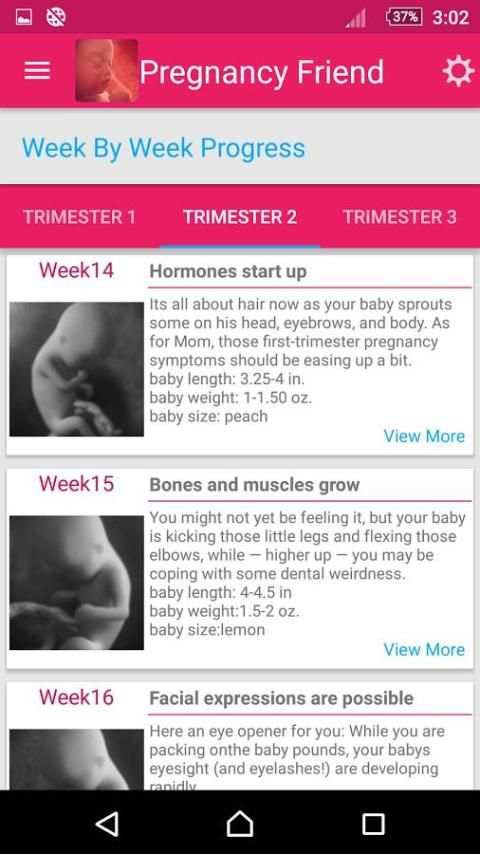Pregnancy Friend App скриншот 3