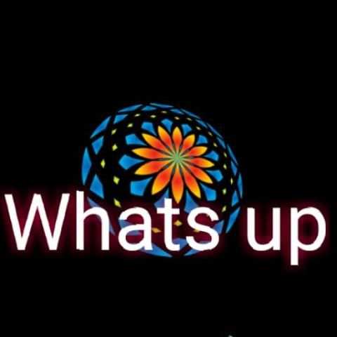 whats up screenshot 4