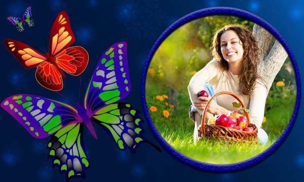 Butterfly Photo Frames 4 تصوير الشاشة