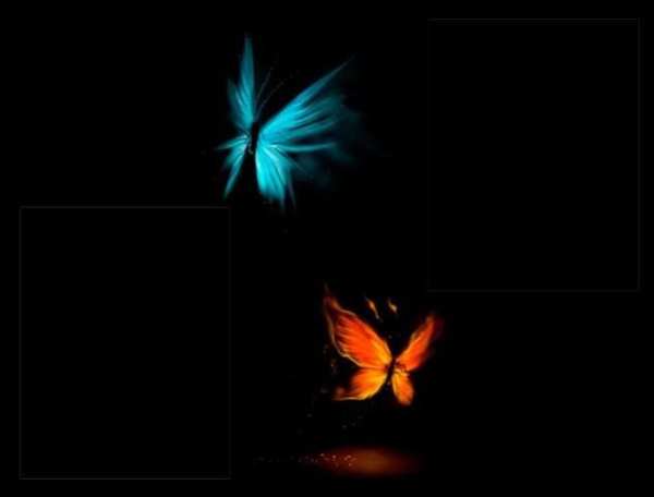 Butterflies Photo Frames screenshot 2