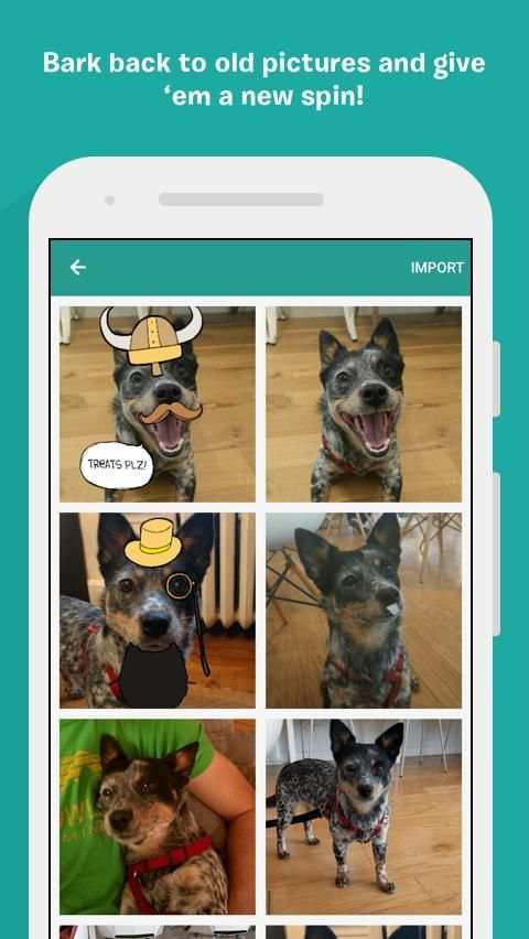 BarkCam скриншот 4