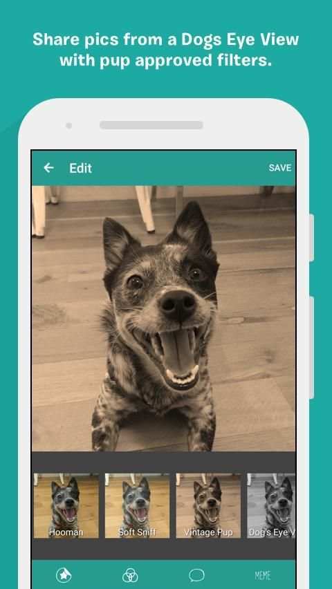 BarkCam скриншот 5