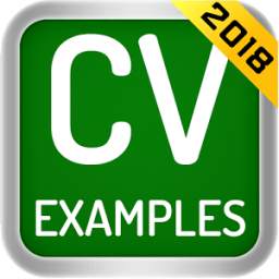 CV Examples 2018