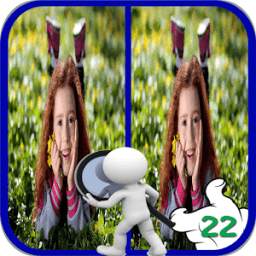 Find 5 Differences Game Online