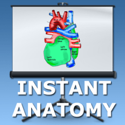 Anatomy Lectures - the heart आइकन