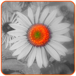 Jethalal Selfie Photo Editor आइकन