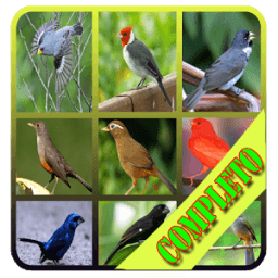 ikon Escolha de som Pássaro 2017 HD