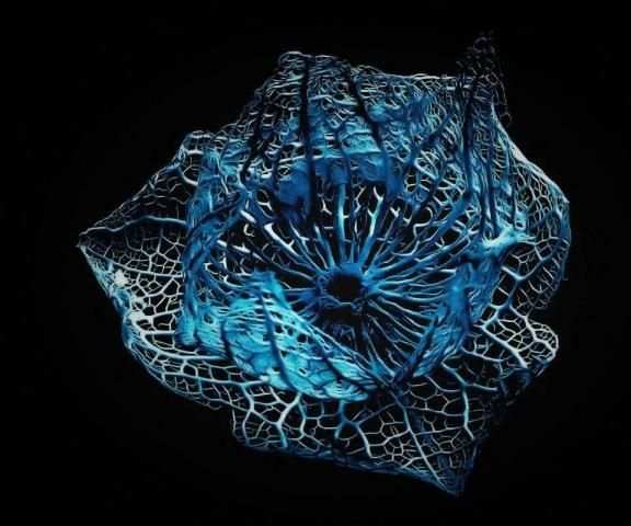 3D Wallpaper Parallax скриншот 1