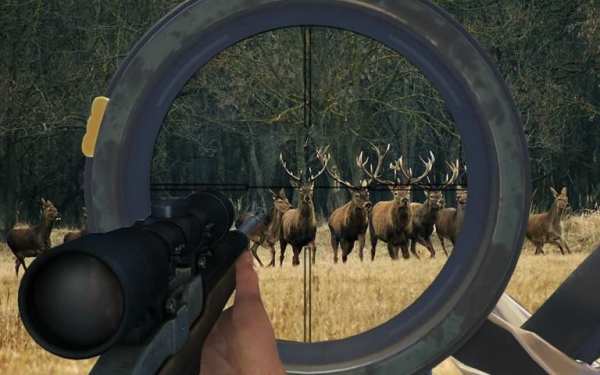 Deer Hunter Sniper Shooting 3D screenshot 3