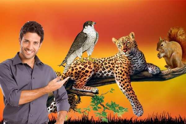 Wild Animals Photo Editor screenshot 5