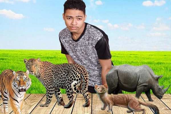 Wild Animals Photo Editor screenshot 4