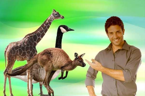 Wild Animals Photo Editor screenshot 2