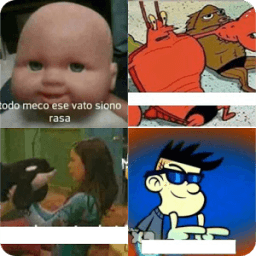 Adivina el momo -pacman- icon