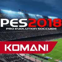 GUIDE PES 2018