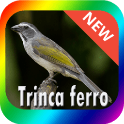 Best Trinca Ferro BirdSong иконка