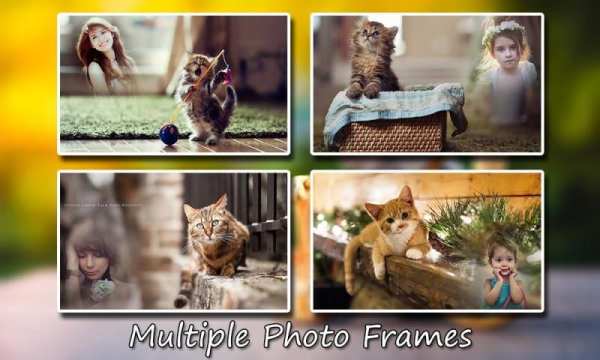 Cat Photo Frames screenshot 1