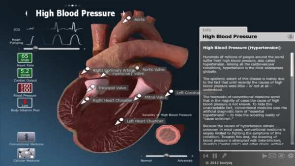bodyxq heart скриншот 6