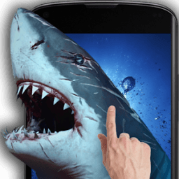 Shark Attack Live Wallpaper आइकन