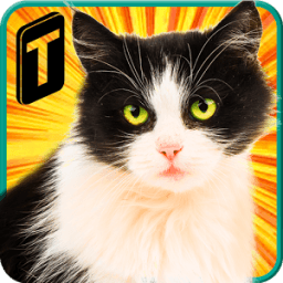 Street Cat Sim 2016 أيقونة