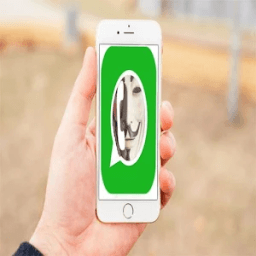 تجسس على الواتس иконка