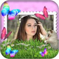 Butterfly Photo Frames LWP on 9Apps