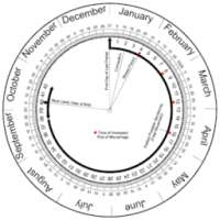 Pregnancy Calculator (Wheel)