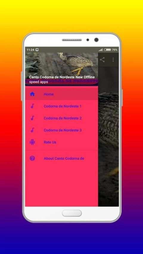 Canto Codorna de Nordeste Offline 5 تصوير الشاشة
