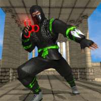 Fidget Spinner Ninja