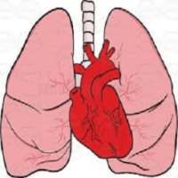 CardioPulmonary Sounds on 9Apps