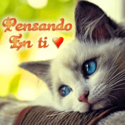 ikon Imagenes de amor para whatsapp