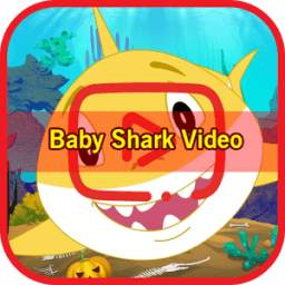New Beby Shark Video 1.0