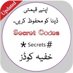 Secret Codes Book 1.0