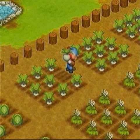 Tips Harvest Moon screenshot 3