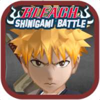 BLEATCH: Shinigami Fighting