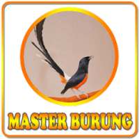 Birds Chirping Master