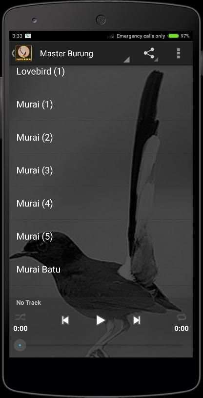Birds Chirping Master screenshot 2