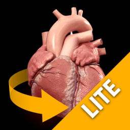 ikon Heart 3D Anatomy Lite