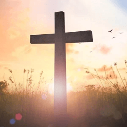 Bible Word Scramble иконка