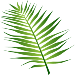 Balochi Keyboard أيقونة