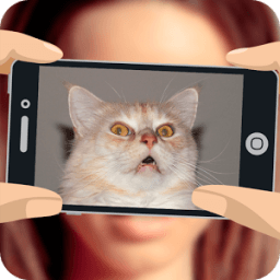 What cat am I? आइकन