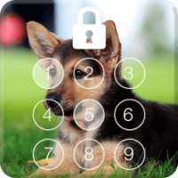 German Shepherd Dog PIN Lock Screen Password