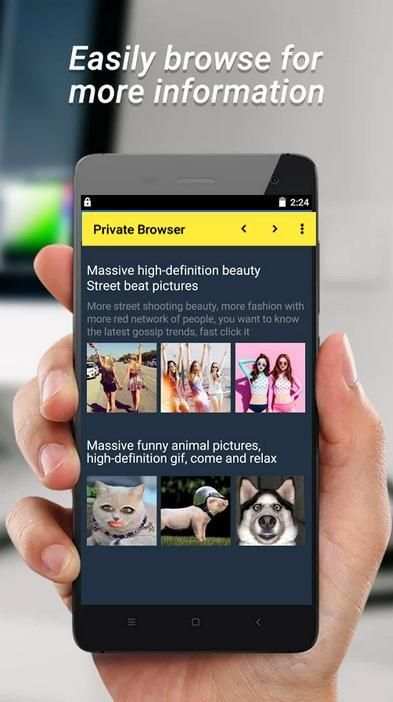 Private Browser - Incognito screenshot 1