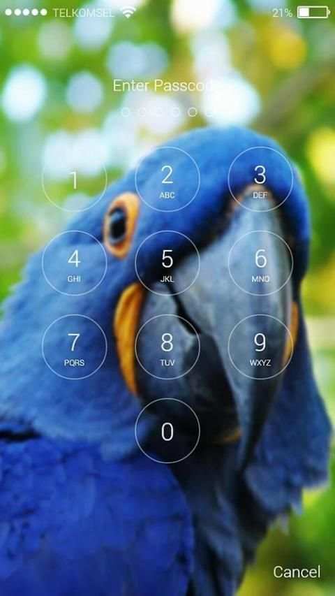 Parrot Lock Screen HD screenshot 6