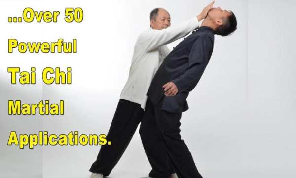 Tai Chi Martial Applications 8 تصوير الشاشة