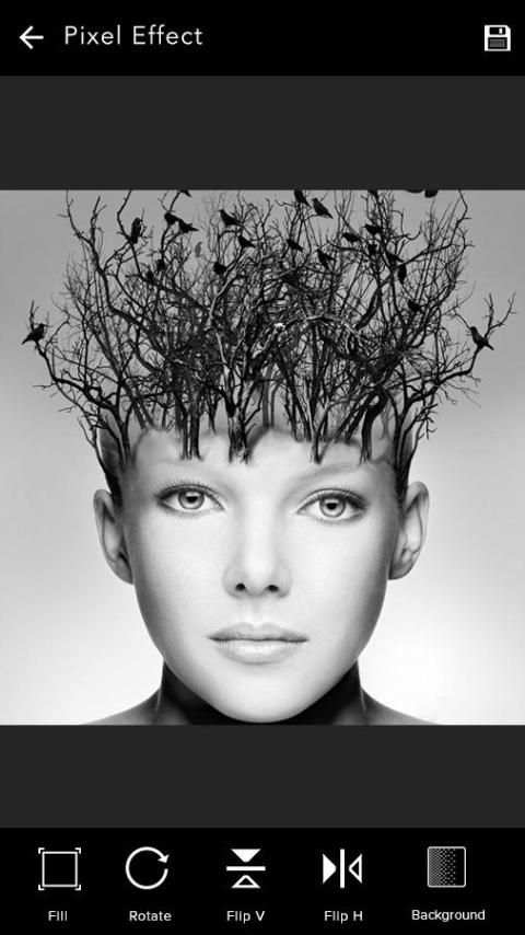 Face Camera скриншот 7