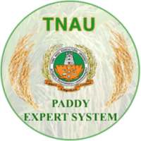 Paddy Expert System