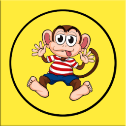 ikon Memory Developer